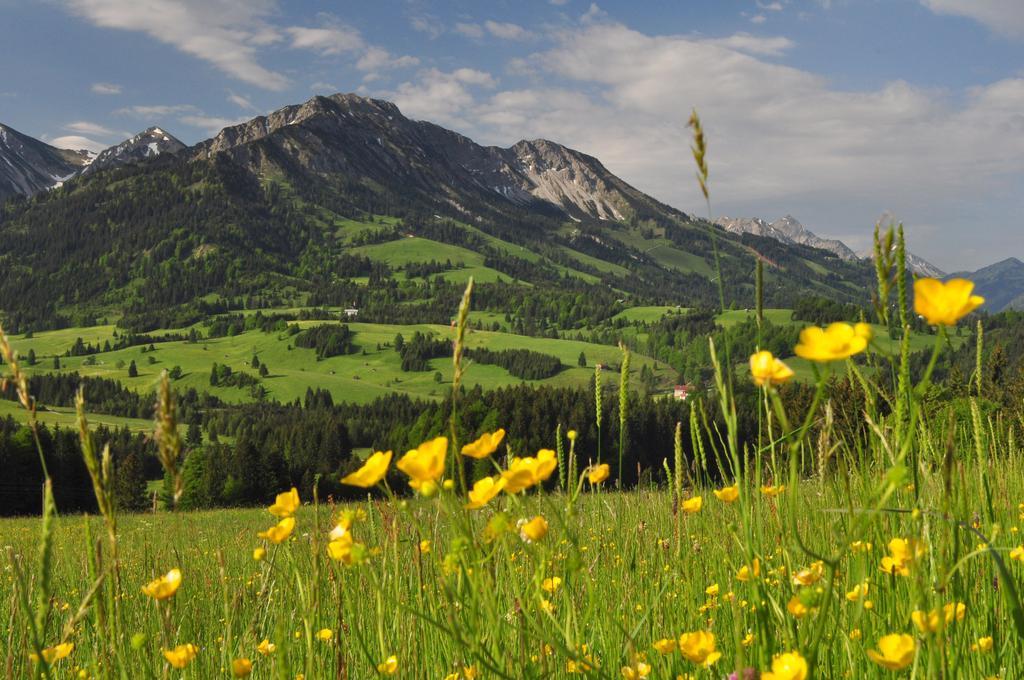 Sonnenpark, Ihr Bett Im Allgaeu 힌델랑 외부 사진