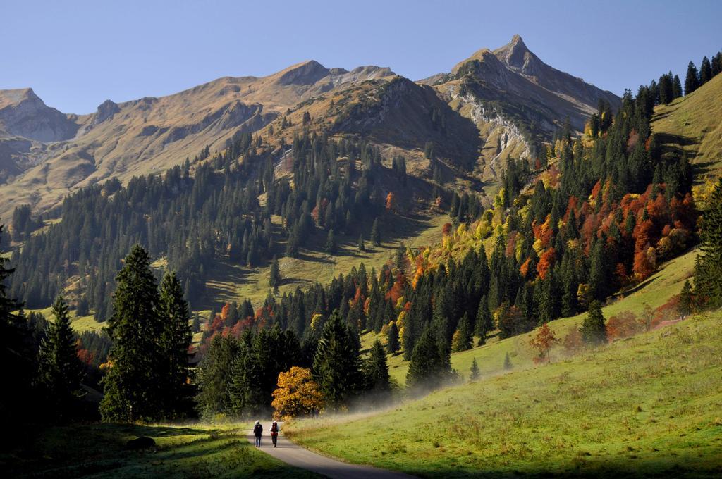 Sonnenpark, Ihr Bett Im Allgaeu 힌델랑 외부 사진